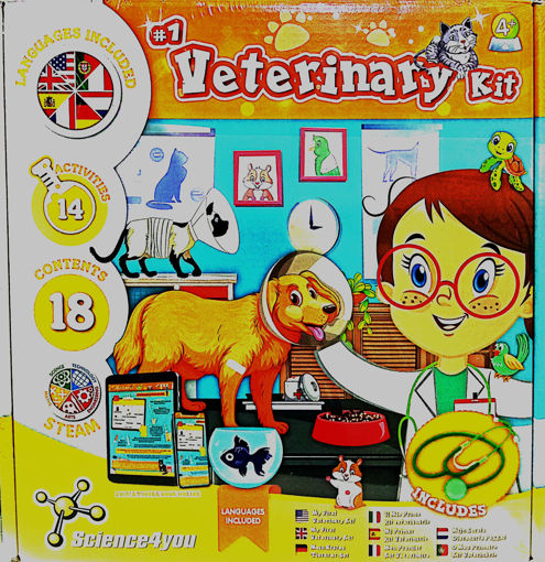 Picture of Activity Game Age 4+ Steam,My First Veterinary Kit