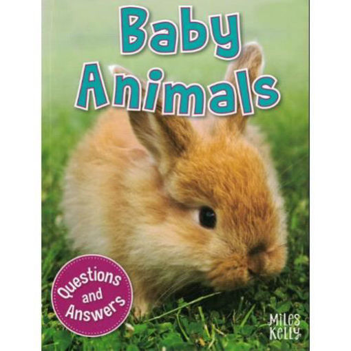 Picture of My question and answer n1 baby animals miles kelly