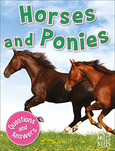 Picture of My question and answer n11 horses and ponies