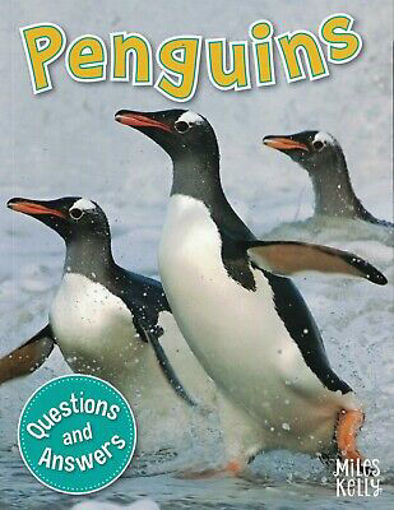 Picture of My question and answer n16 penguins