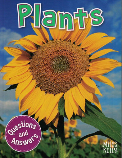 Picture of My question and answer n18 plants