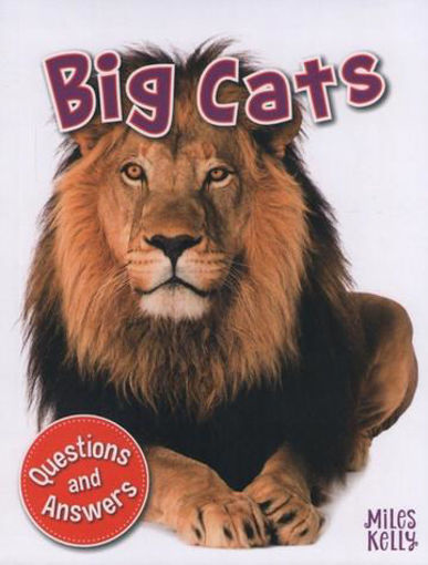 Picture of My question and answer n3 big cats miles kelly