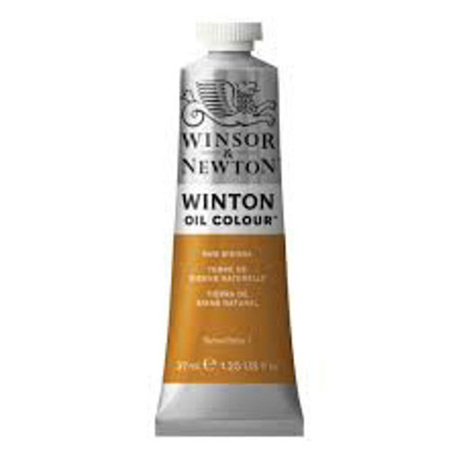 Picture of Oil Paint 37ml Raw Sienna Winsor&Newton Winton