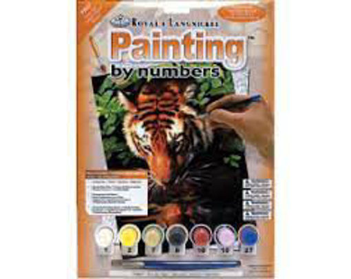 Picture of Painting By Numbers 8+ Royal&Langnickel