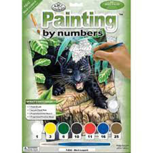 Picture of Painting By Numbers 8+ Royal&Langnickel