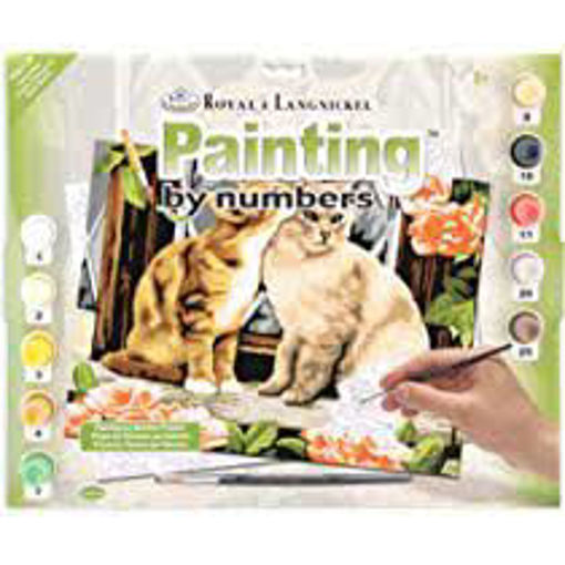 Picture of Painting By Numbers 8+ Royal&Langnickel