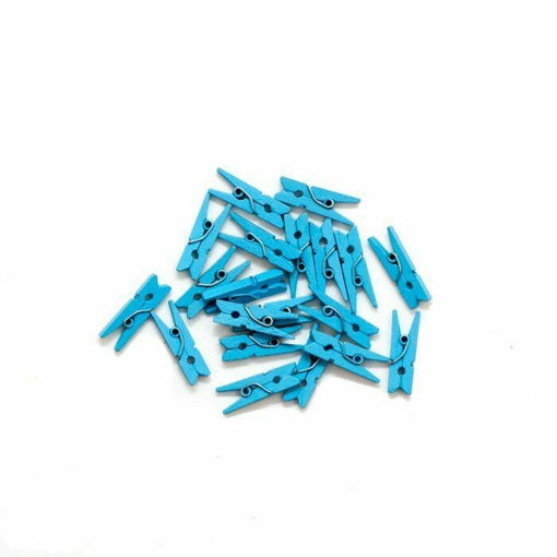 Picture of Pegs 36pcs Blue Wood Craft for all