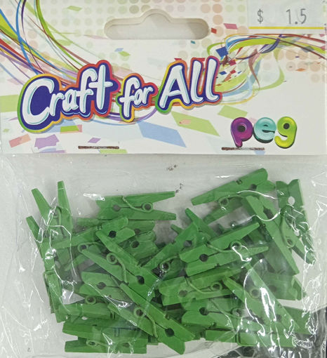 Picture of Pegs 36pcs Green Wood Craft for all