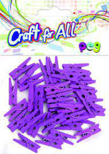 Picture of Pegs 36pcs Mauve Wood Craft for all
