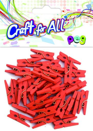 Picture of Pegs 36pcs Orange Wood Craft for all
