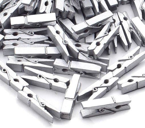 Picture of Pegs Argent 20pcs Wood Hand Craft
