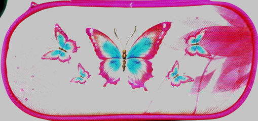 Picture of Pencil Case 1 Comp Spirit