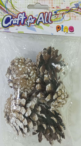 Picture of Pine cone 50g 4 pcs wooden white  CA691