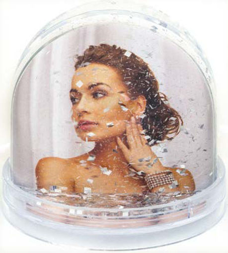 Picture of Plexi Frame Glitter Colors Shaker Zep ; Globe
