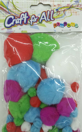 Picture of Pompoms Assorted Craft for all