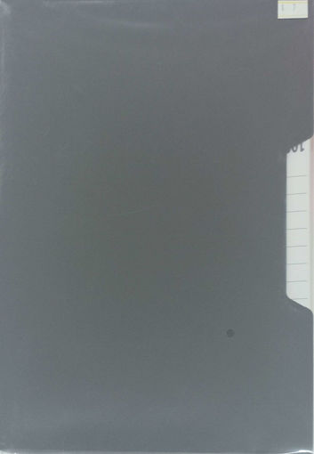 Picture of Clear Book A4 100pockets Tip Top