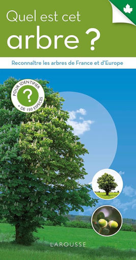 Picture of Quelle Est Cet Arbre Larousse