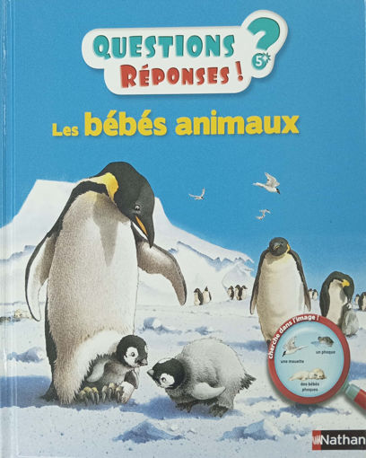 Picture of Questions/Reponses Les Bebes Animaux