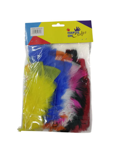 Picture of Feathers (Set Of 35) Colored 16cm Hand Craft