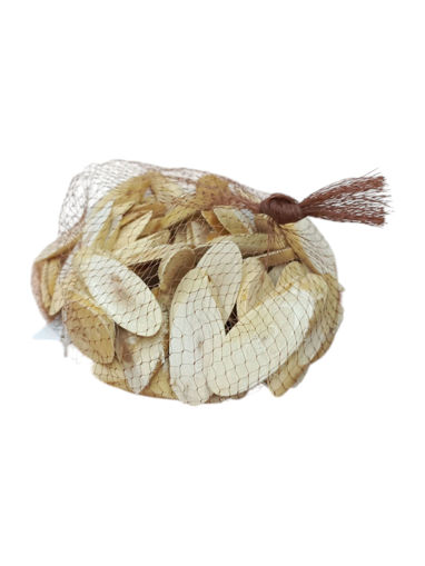 Picture of RYN Wooden Parts 8*2.5cm 250gr 19bs376