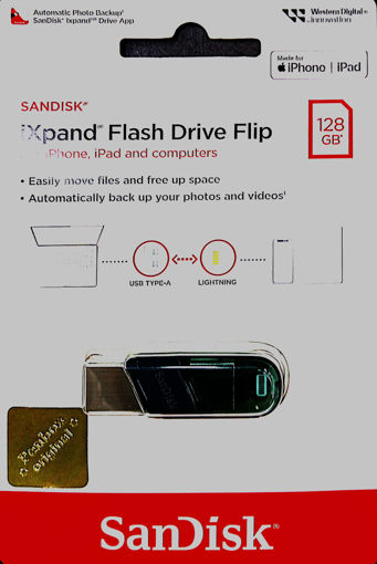 Picture of USB Sandisk, SDIX90N-128G