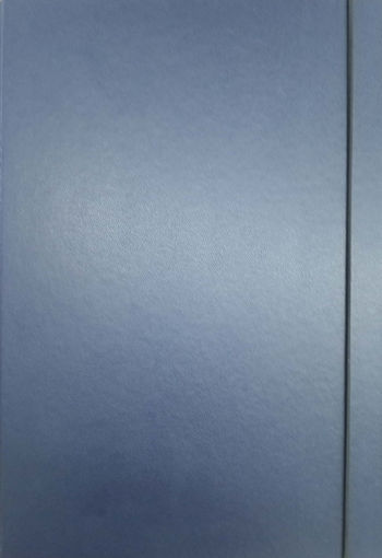 Picture of Elastic File 4cm Blue Card board Skyfile
