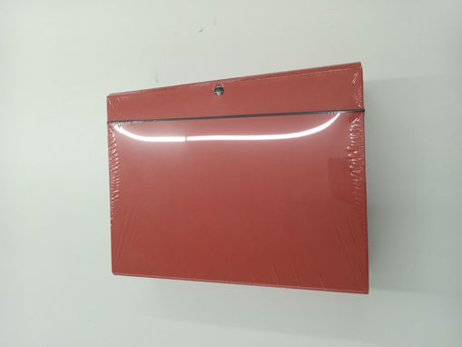 Picture of Elastic File 9cm Red Cardboard Skyfile