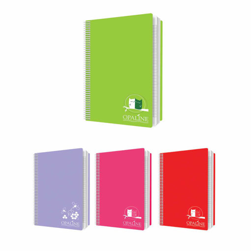 Picture of Spiral Copybook A4 /96 Sheets 70gr Quadrilled Opal