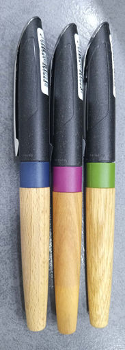 Picture of Stabilo Stylo (Fountain pen) Grow