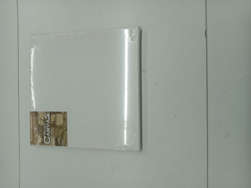 Picture of Stretched Canvas 30x80cm Winsor&Newton