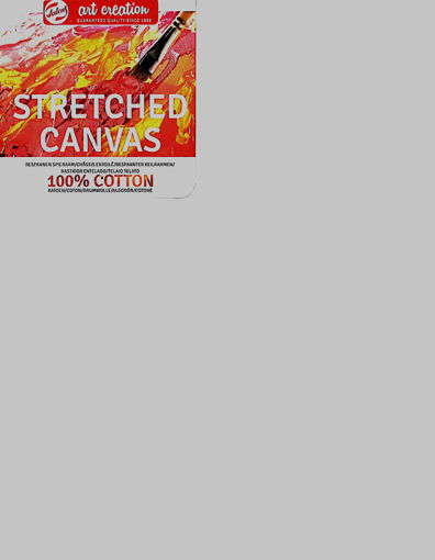 Picture of Stretched Canvas 40x50cm 3D Art Creation