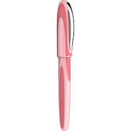 Picture of Stylo (Fountain pen) Schneider