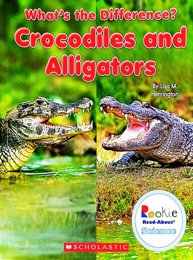 Picture of What's The Difference? Crocodiles and alligators