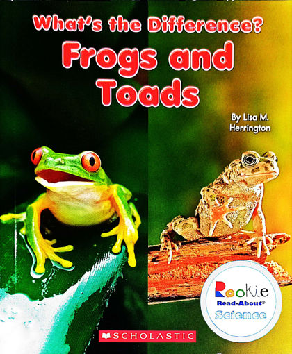 Picture of What's the difference? Frogs and toads