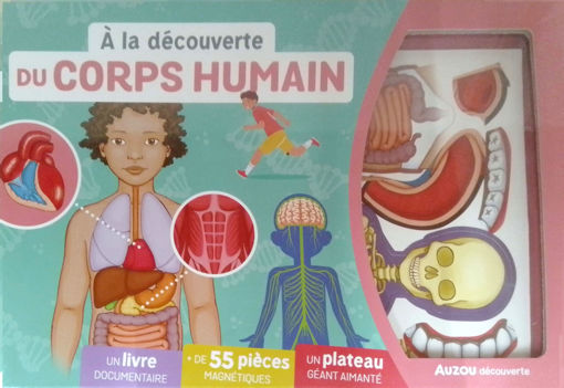 Picture of Coffret, A La Decouverte Du Corps Humain