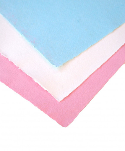 Picture of Buvard paper Colored