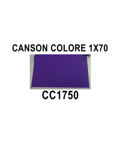 Picture of CardBoard 70x100cm Colored