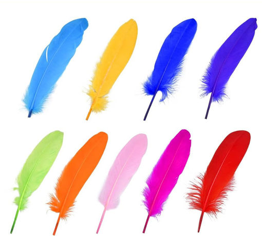 Picture of Feathers Multi Colors