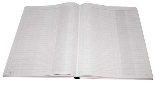 Picture of Office Book 96 Sheets 22x32 2 Columns Bassile