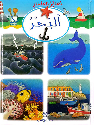 Picture of مصور الصغار البحر