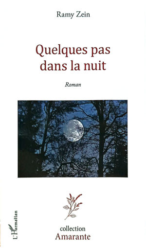 Picture of Quelques Pas Dans La Nuit By Ramy Zein