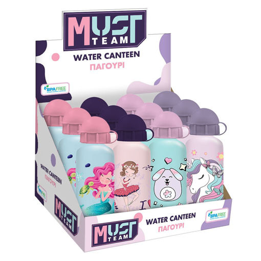 Picture of Aluminium Water Bottle 500ml Assorted Girls Must
