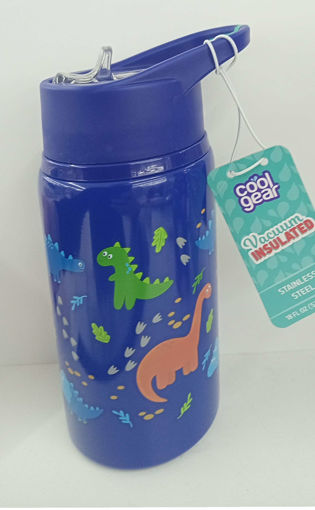 Picture of Insulated Stainless Steel Water Bottle 532ml Cool