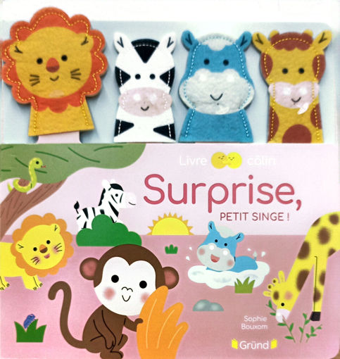 Picture of Livre Calin, Surprise Petit Sing