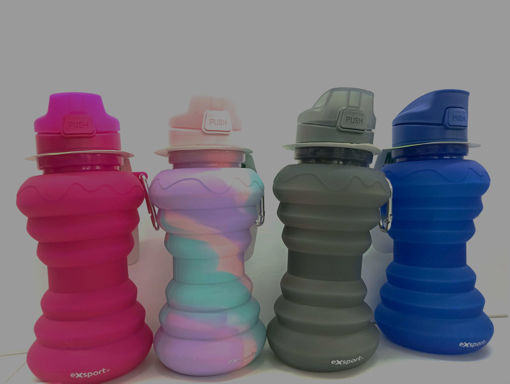 Picture of Water Bottle Collapsible 650ml EXSPORT