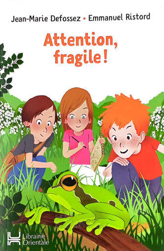 Picture of Attention Fragile Lib Orientale