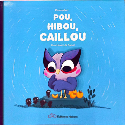 Picture of Pou Hibou Caillou Hatem