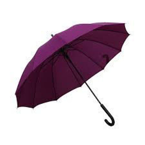 Picture of Umbrella Baston Large Purple Spirit