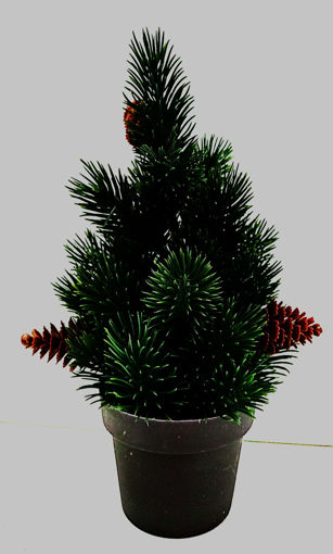 Picture of Christmas  tree pine cone green