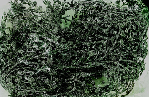 Picture of Garland leaves silver